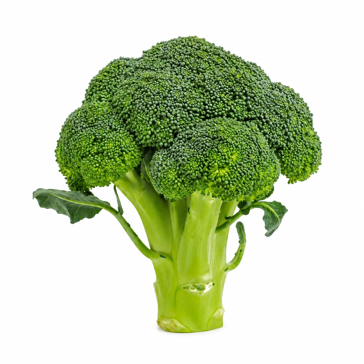 Fresh Organic Broccoli